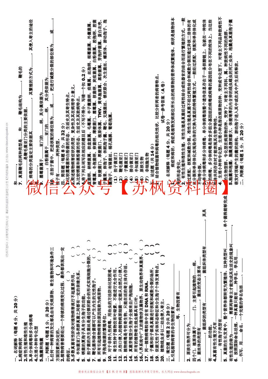 热带园艺植物病理学